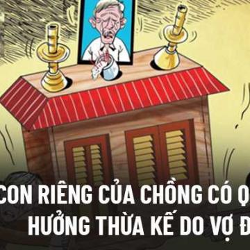 Con Riêng Của Vợ Hoặc Chồng Có Được Thừa Kế Tài Sản Của Mẹ Kế, Bố Dượng Không ?